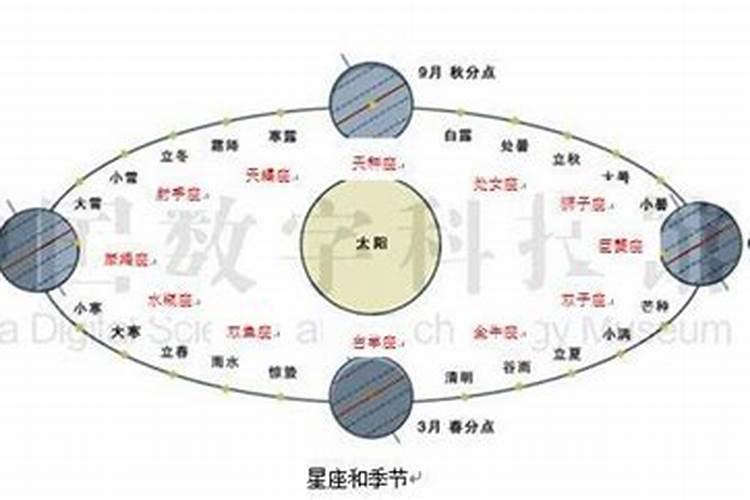 梦见一只狗扑过来咬我