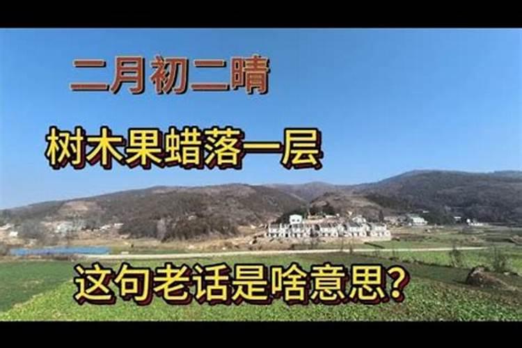 62年属虎人今年的运势和财运