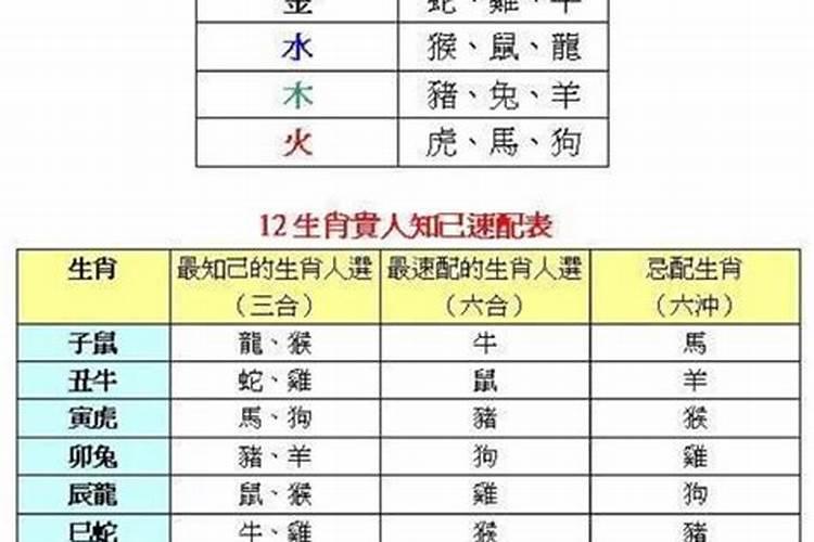 八字性格不合的婚姻的结局