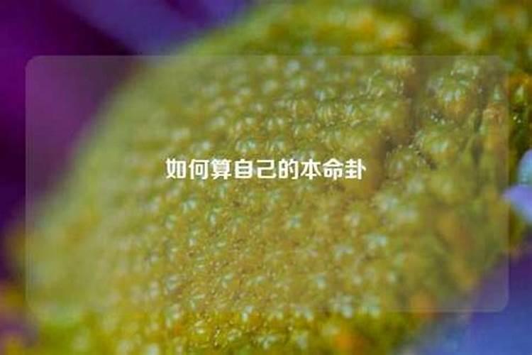 梦见好多墓地被挖开什么意思