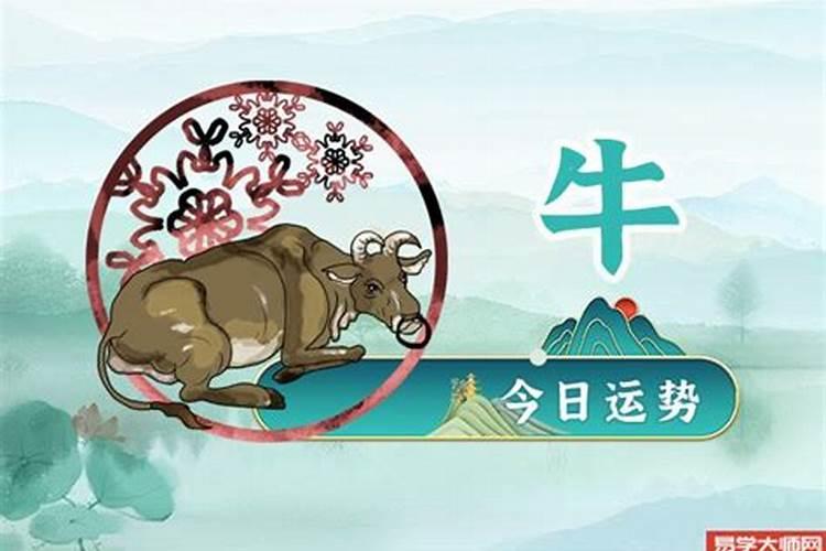 属牛今年运势及财运