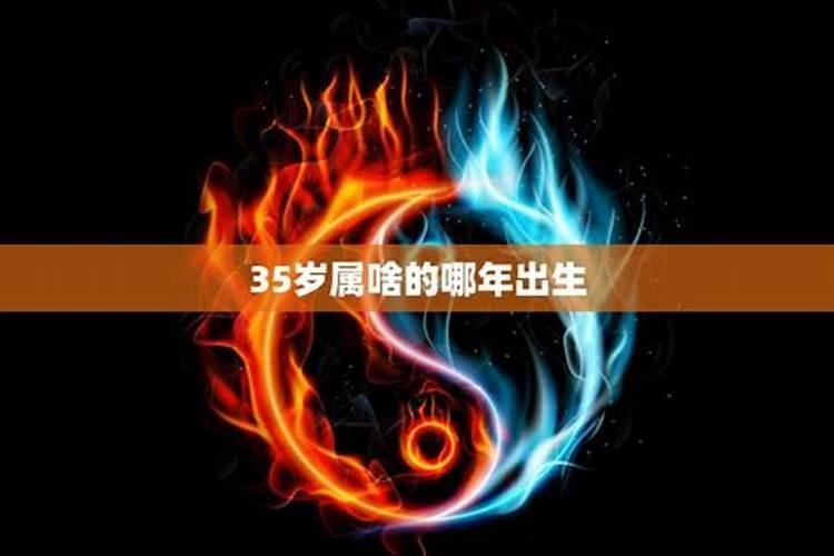 35岁今年属相是什么生肖