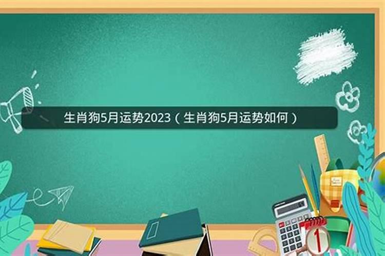 属猪者2023年运势