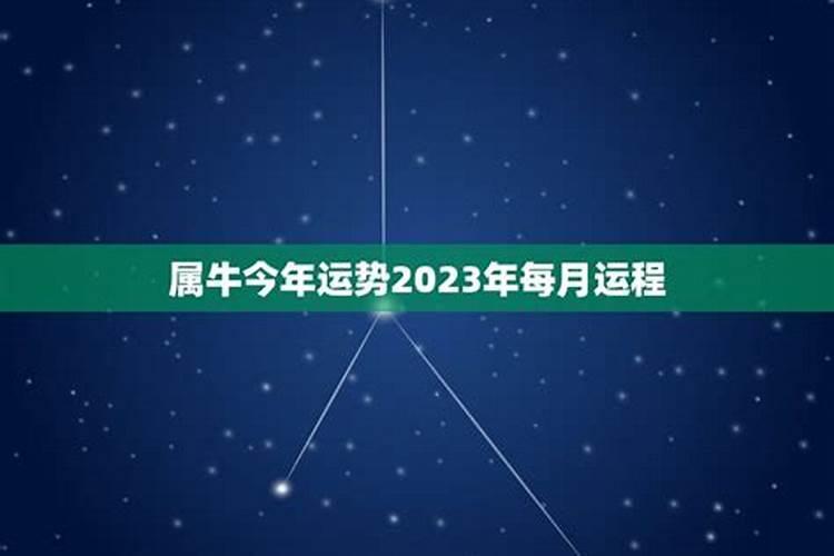 1984年属鼠人2022年运势