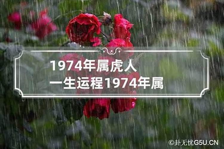 1980年生肖猴2022年运势大全