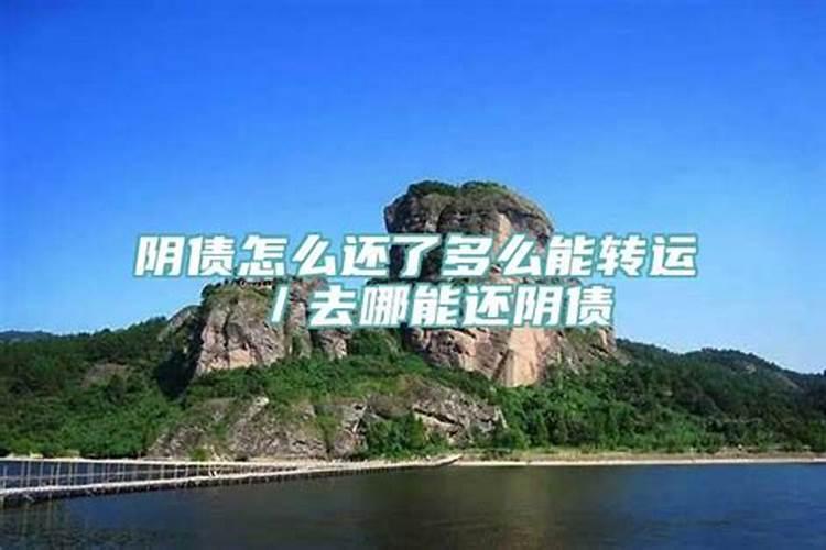 梦见蜂王蜂后是什么预兆