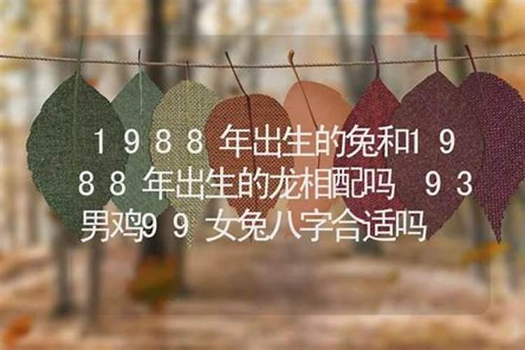 72男鼠的运势2023年运程