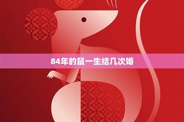 84年的鼠今年婚姻如何