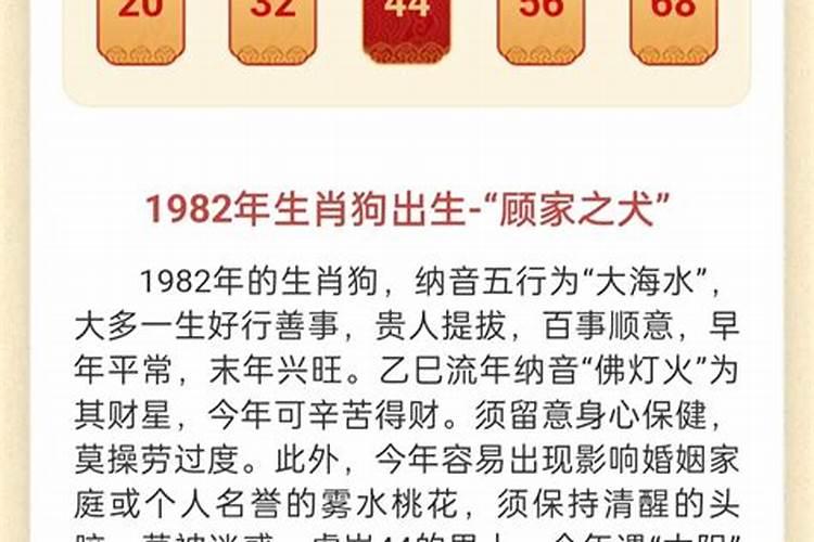 属蛇人2025年全年运势如何