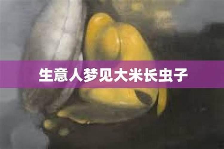 梦见大米生虫子是什么预兆