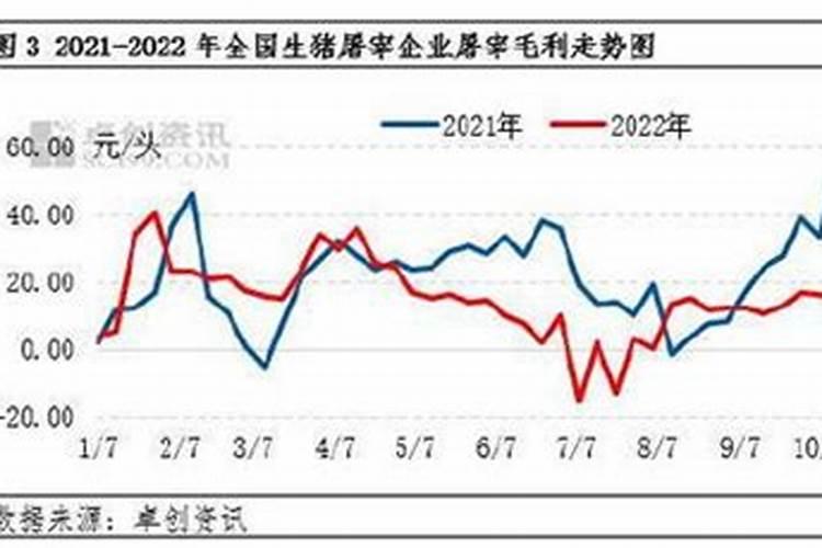 十二生肖爱情运势