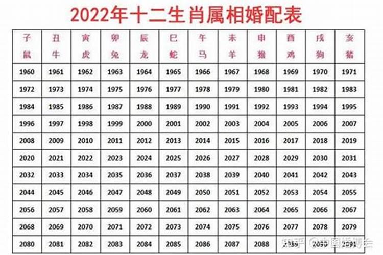 12生肖婚配属相配对表2023