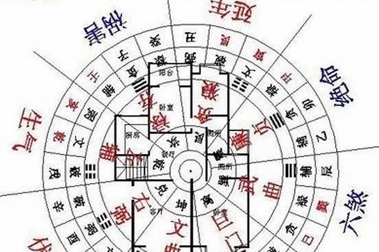 怎样查自己的五行属什么