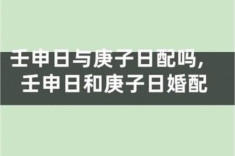 1988属什么生肖属相