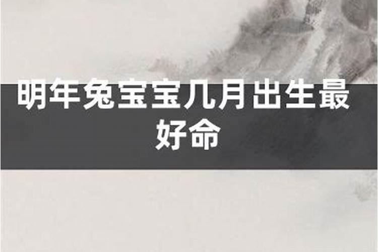 2004年属猴人今年运势2020年每月运势