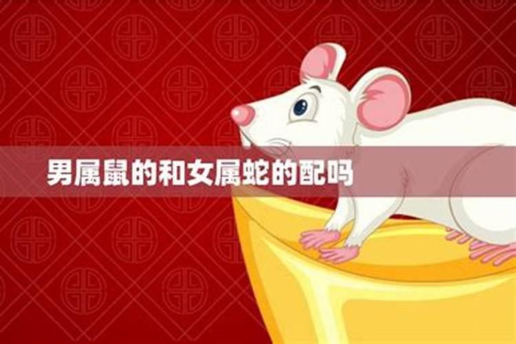 属猴的6月份运势如何样