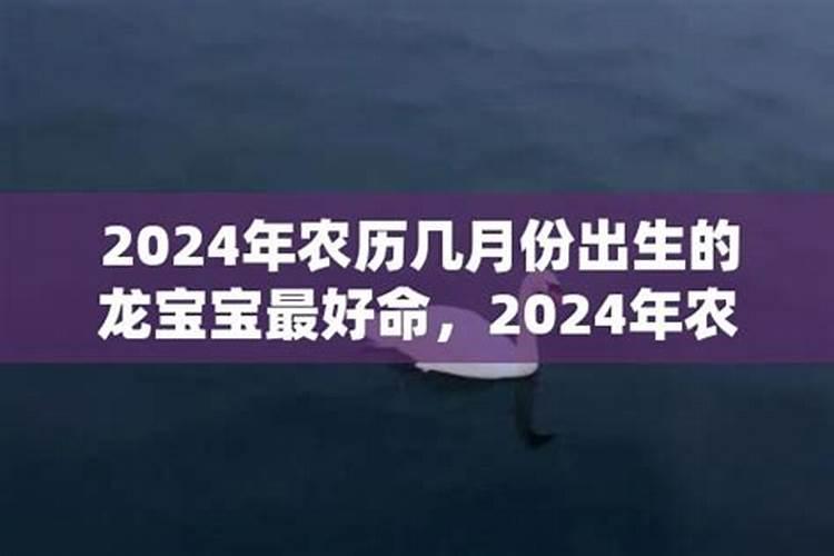 属虎2024年运势在几月好