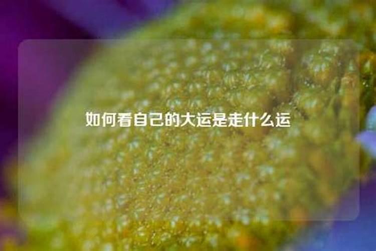 梦见上香断了好多