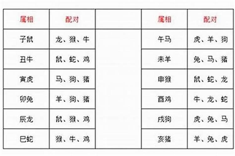 梦到表叔来家里做客吃饭