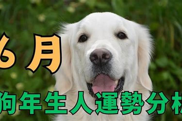 属兔的适合佩戴什么