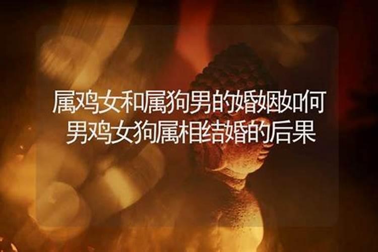 梦见儿子拉粑粑是什么意思呀