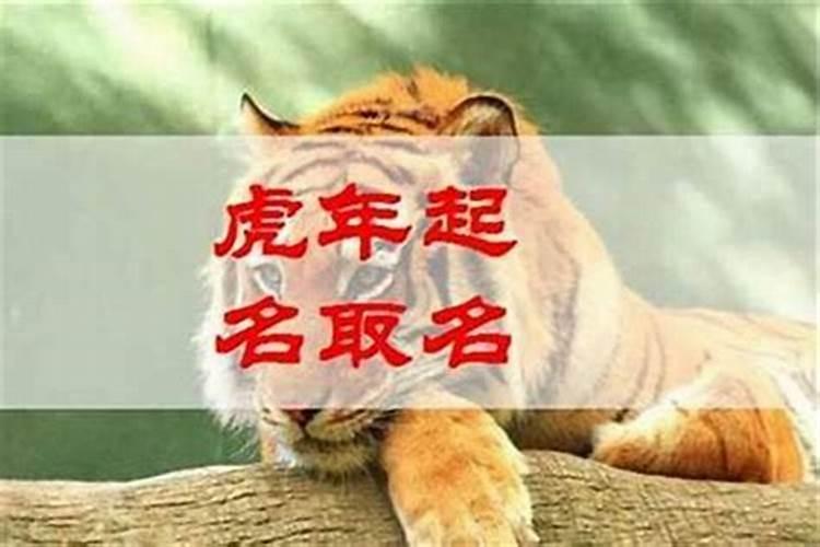 2024属猪刑太岁怎么解决