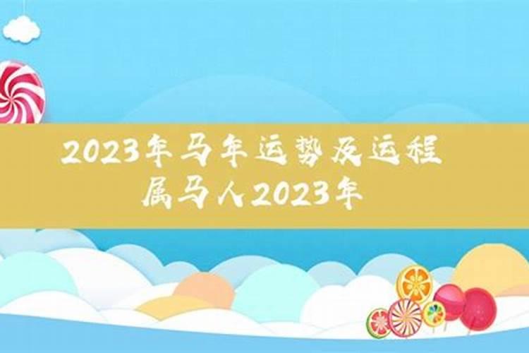 2025年马年的运势