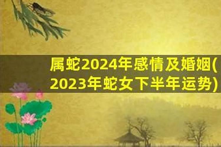 2025年生肖蛇女下半年运势怎么样