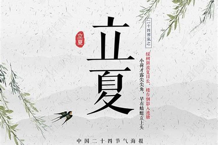 本命年兔注意什么工作