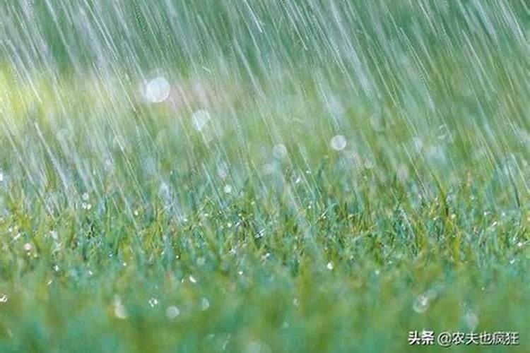 冬至几月有雨了