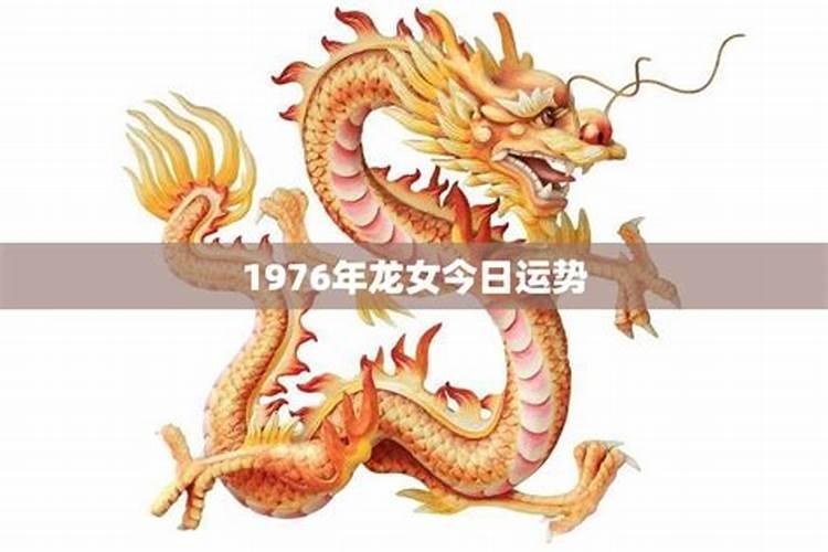 2024属龙的运势和财运1976年