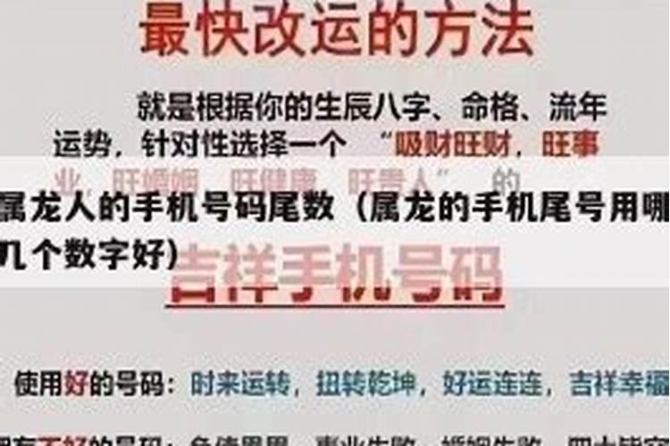 属龙手机尾数为几最好