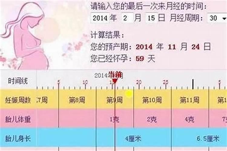 2020年属猪的禁忌颜色