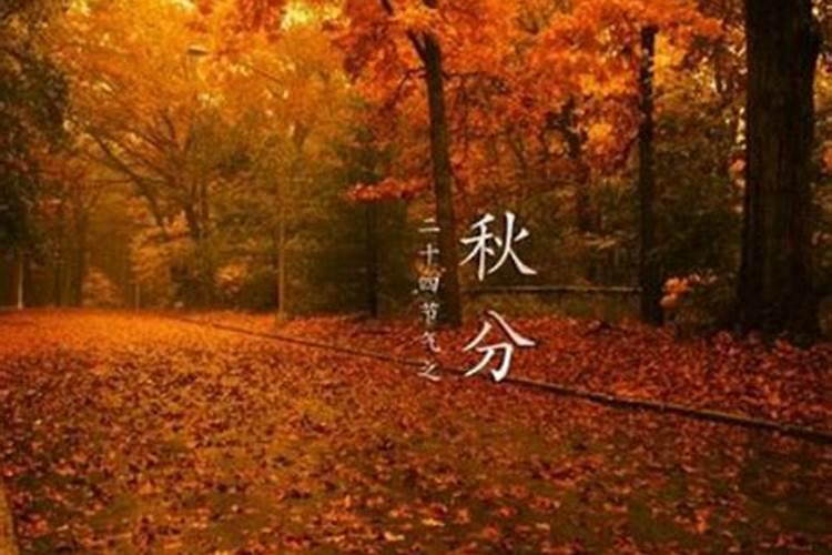 秋分是什么节日,这个节日说明了什么