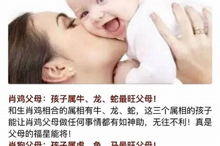 子女旺父母的生肖