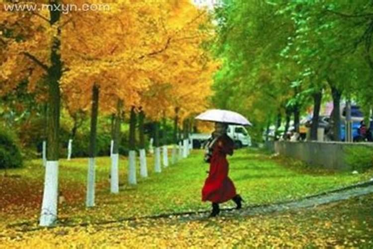 女人梦见下雨什么预兆解梦