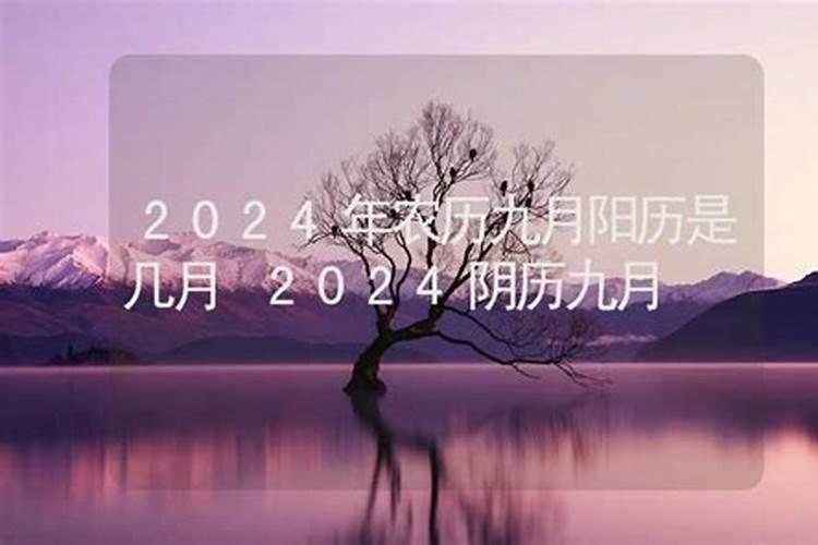 2026年宝宝五行属什么