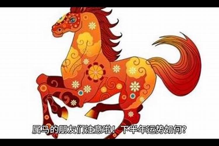 明年犯太岁的属相2024年龙年