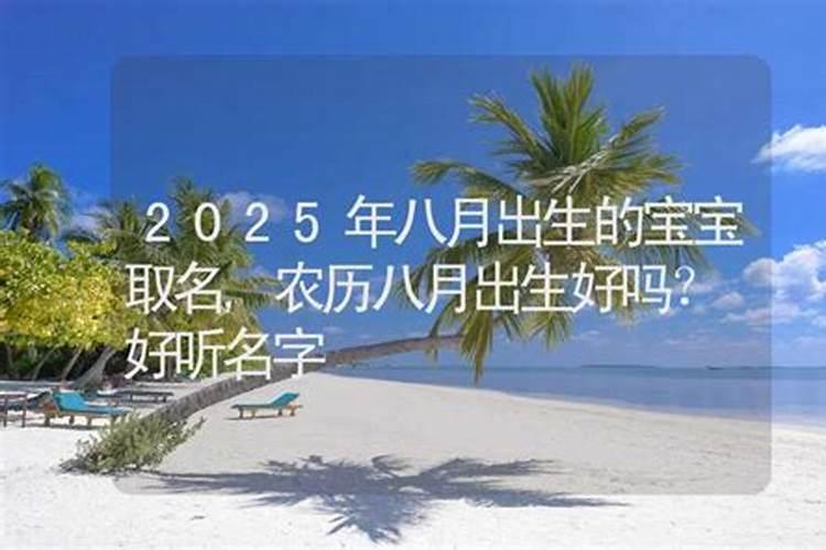 属狗2024年农历九月运程如何