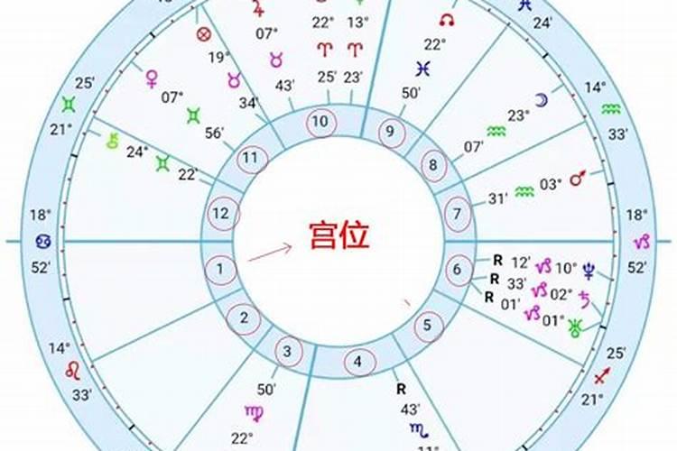 属虎2023年运势及健康运程如何