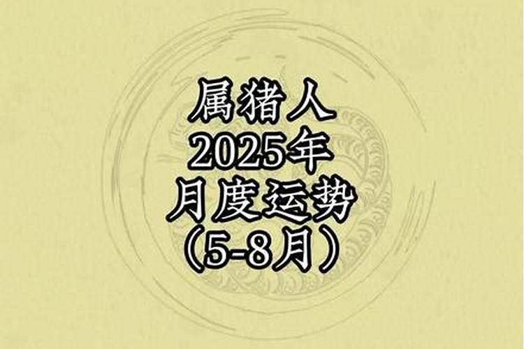 2024年2月什么生肖运势