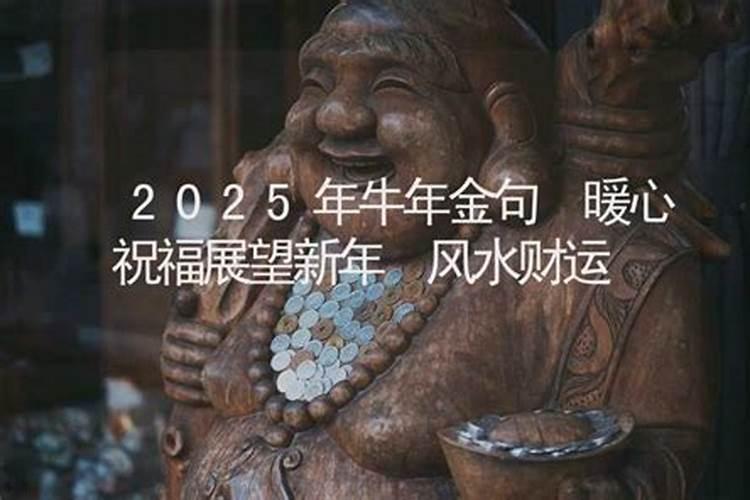 猴在2023年的感情运势怎么样呢