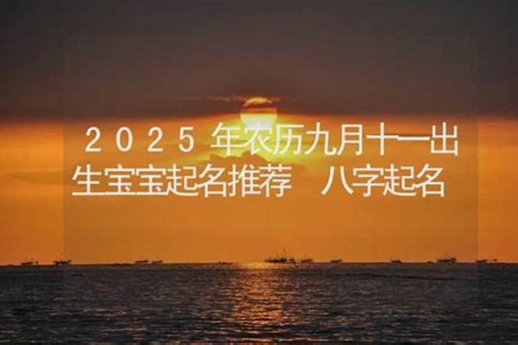 2024年属猪人的全年每月运势易安居