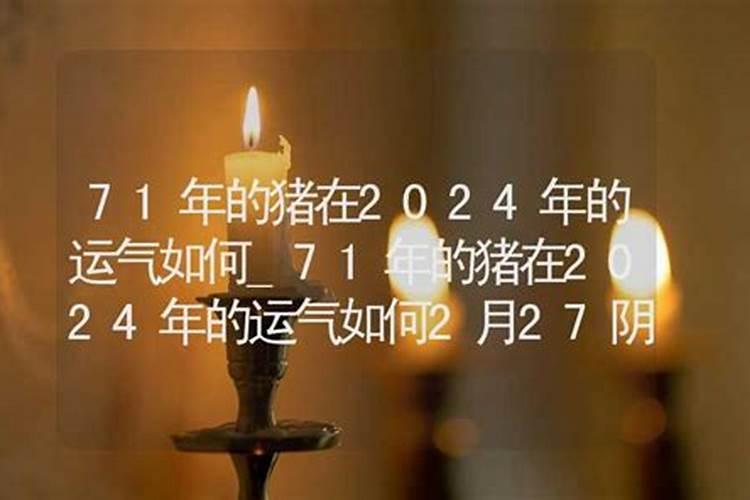 本命年属鼠2023年运势