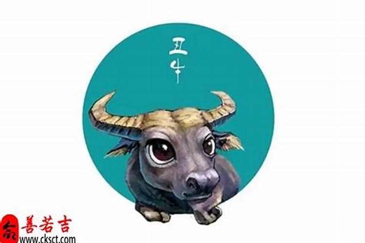 88年属龙人今年运势怎么样