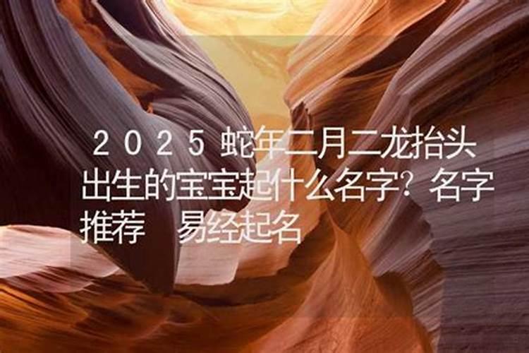 二月出生的蛇2025运势