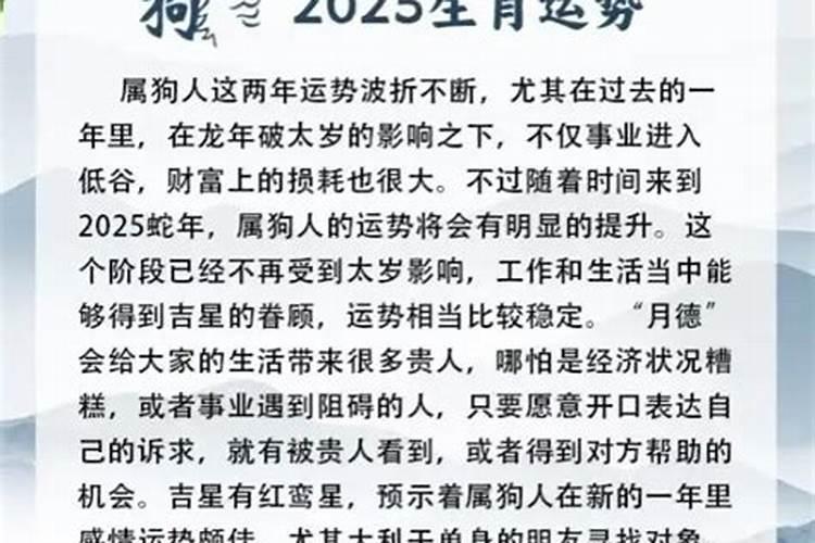 属蛇2024年运程不好