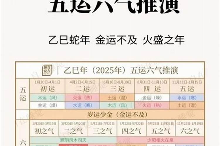 2023年属兔哪个月出生最好命男孩