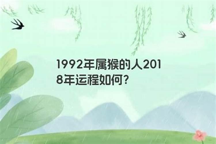 梦见超级大的蜘蛛被别人打死