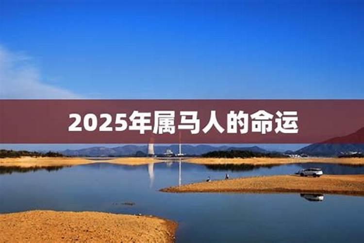 属牛人2024年下半年运势